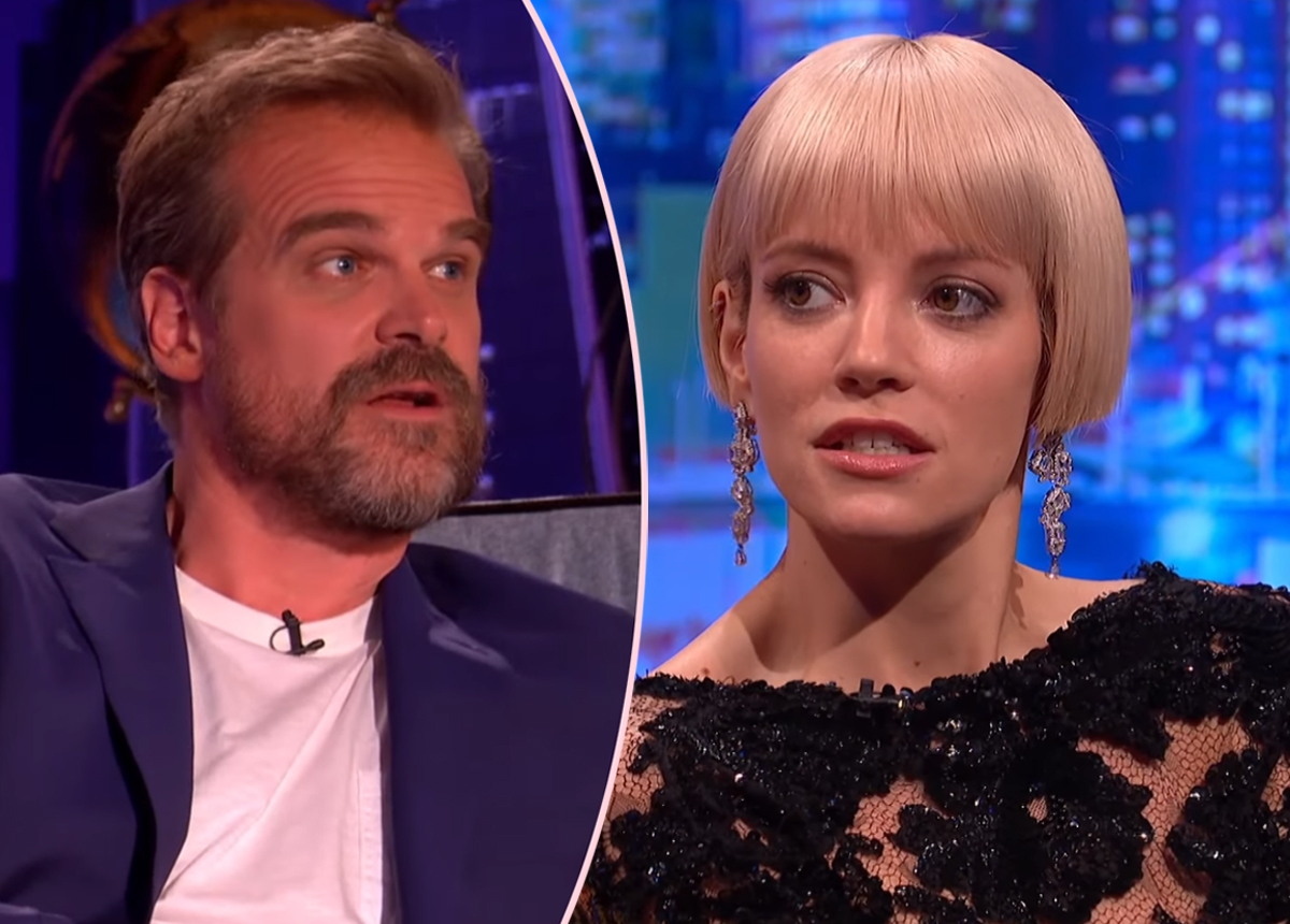 Lily Allen Quit Her OnlyFans After David Harbour Breakup!