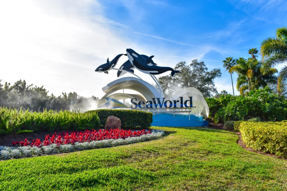 Why Is SeaWorld Parent United Parks Stock Falling Friday?