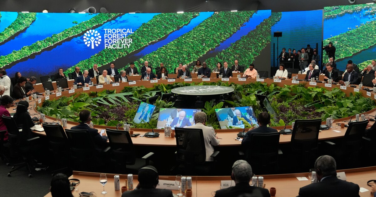 The UN's COP30 climate summit begins, without the US