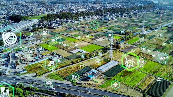 AI Will Not Make The Planned Society Viable