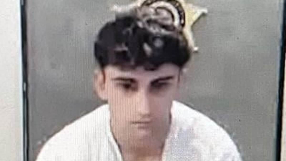 Porsche-driving teen ran home to call his rich dad for help after killing 3 on crosswalk, attorney says