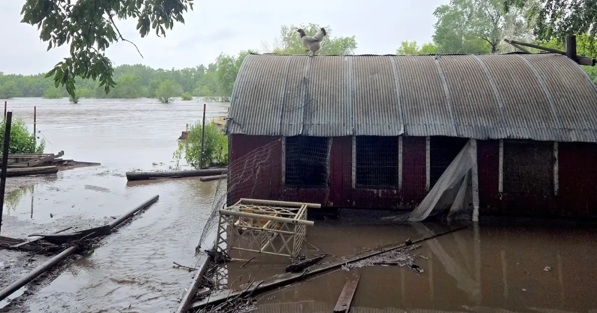 For at Least One Small Iowa Rancher, This Shutdown May Prove the Final Straw