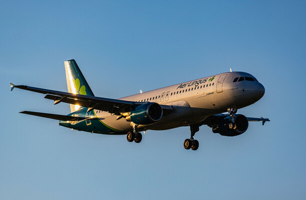 Aer Lingus profits jump by €31m even as its parent company's shares drop 10%