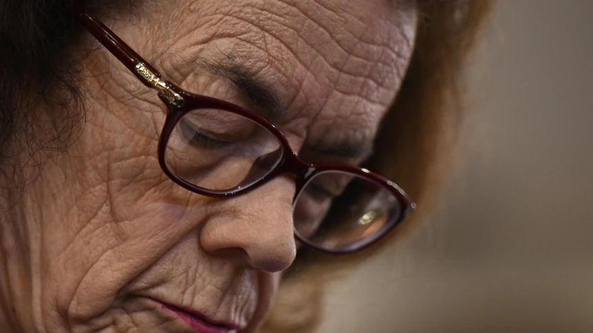 I watched history being made, from the best seats in the house