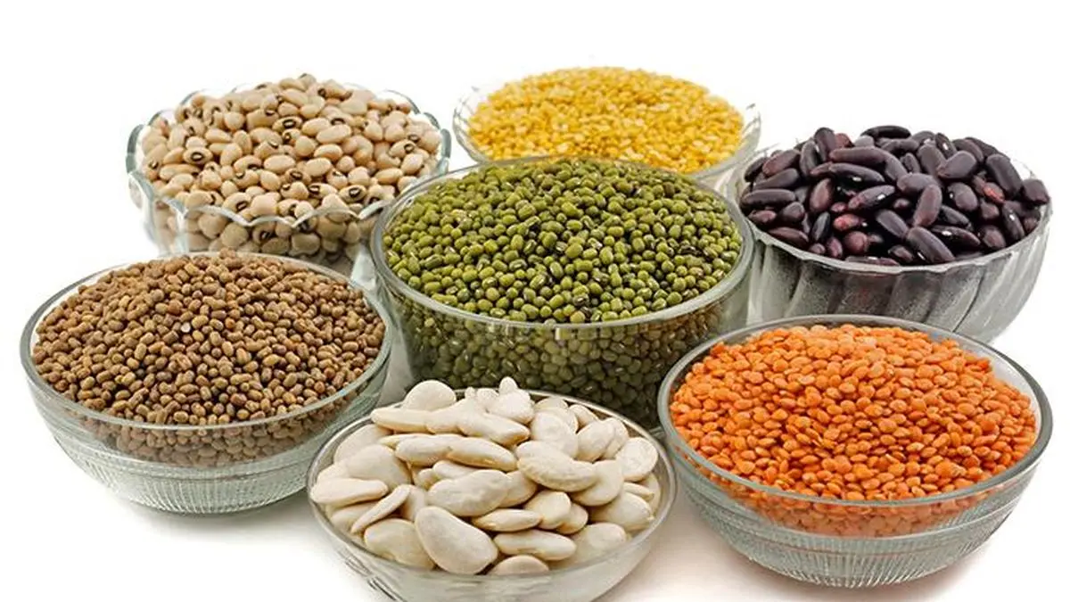 Indian buyers resume US green lentils imports, but drive hard bargain