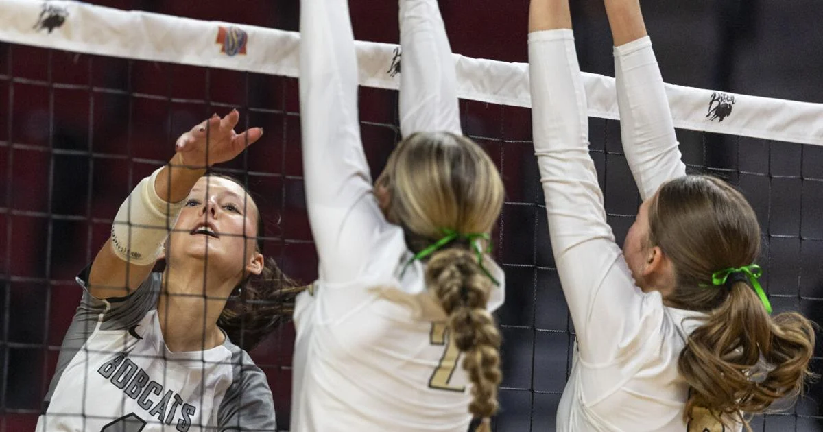 Class D-1: Haase leads Exeter-Milligan/Friend back to state semifinals