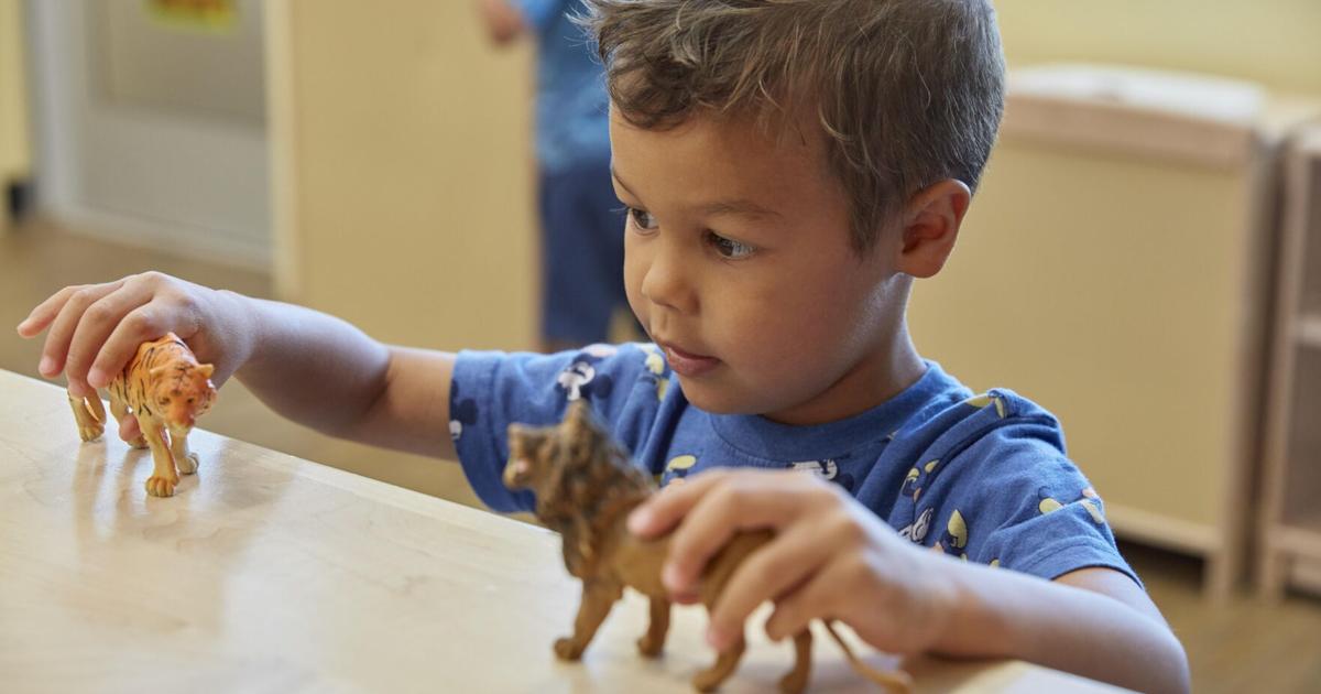 Tame the Toy Chaos Before the Holidays