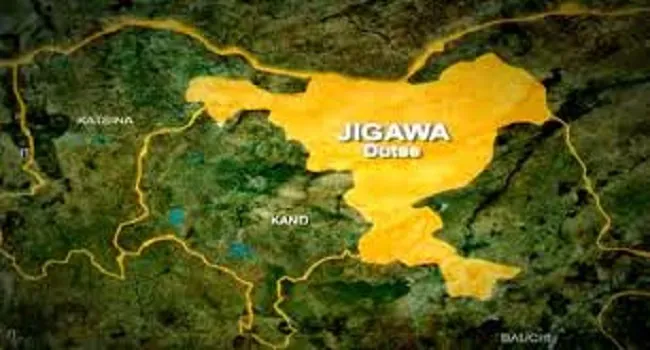 Jigawa govt partners NAPTIP to combat human trafficking