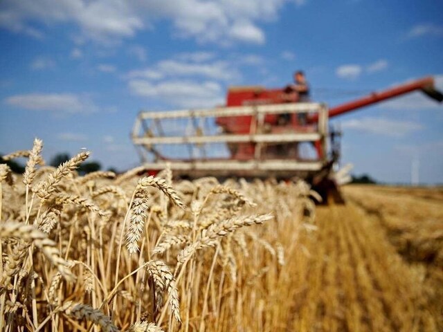 Punjab sets 16.5m acres wheat cultivation target