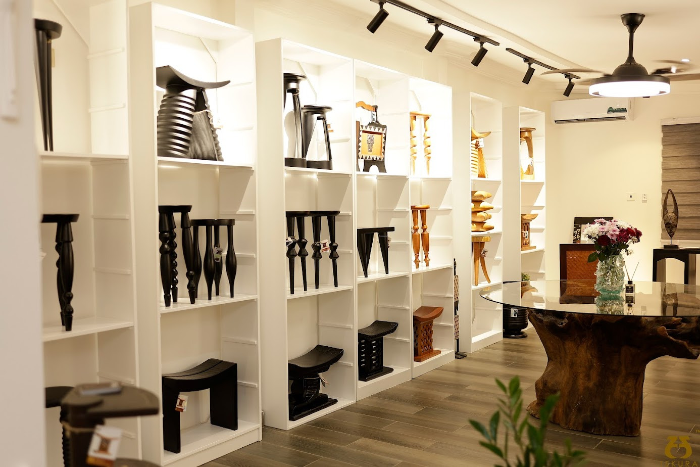 From Ashes to Art: Tekura’s radiant rebirth after the flames