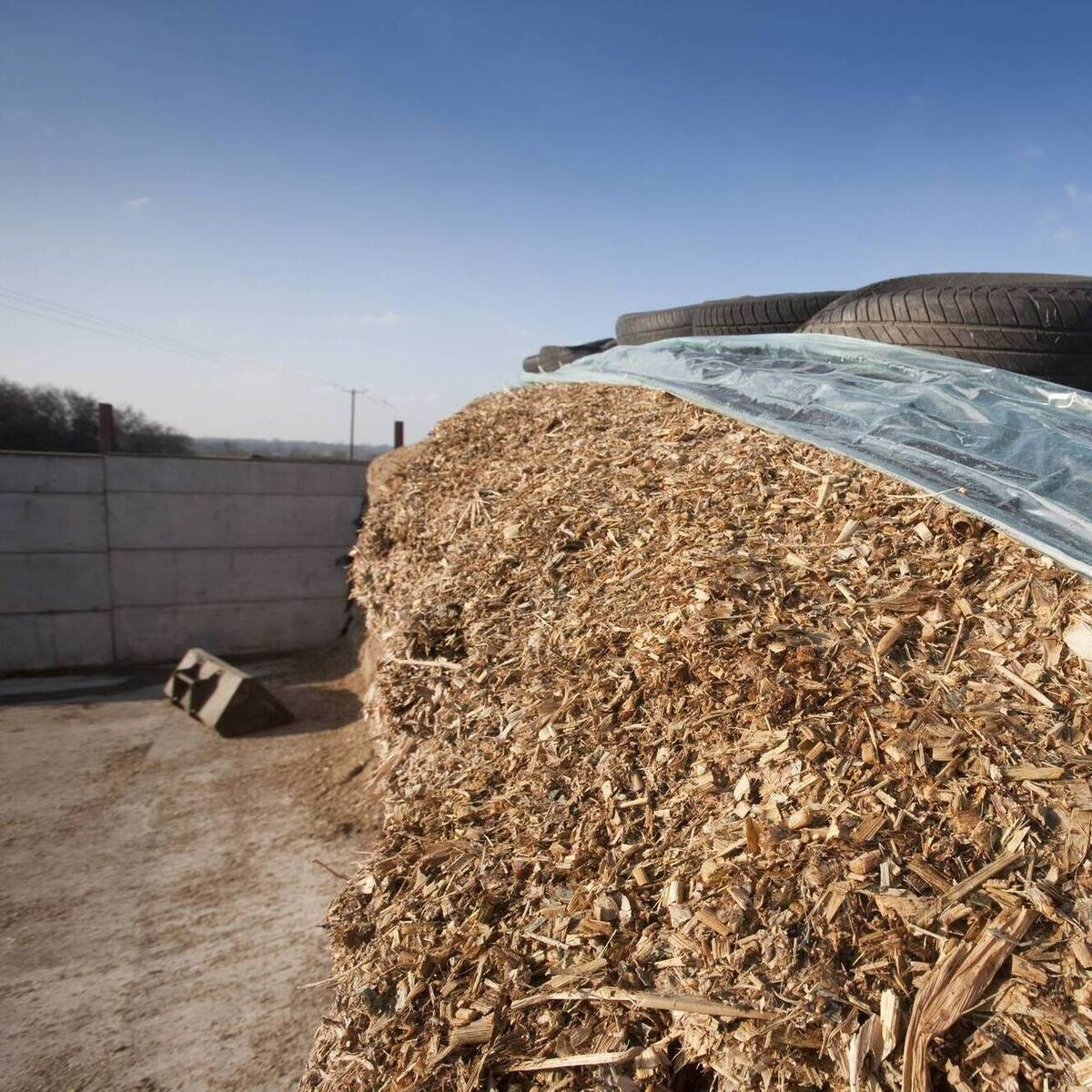 Brian Reidy: Feeding and management of livestock once indoors