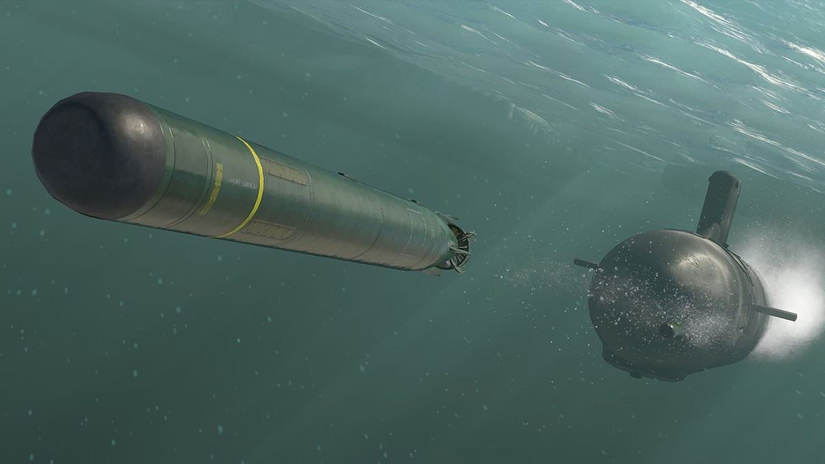 A nuclear tidal wave that obliterates anything in its path. Lingering deaths for those who don't drown - and our shores turned to dust: Truth about Putin's new radioactive tsunami submarine - and why British experts are terrified