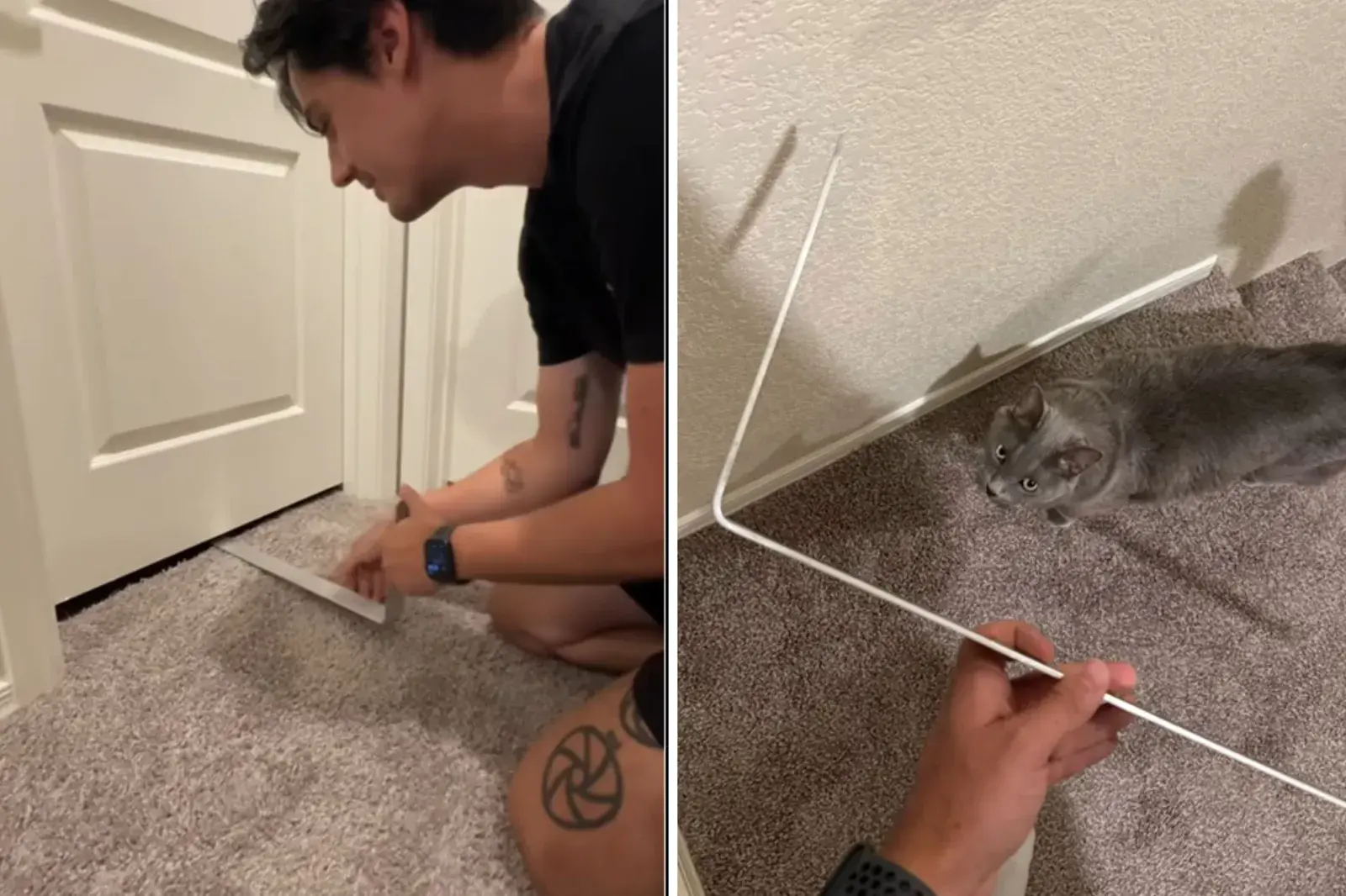 Cat Locks Himself in Bathroom—Owner Puts Cam Under Door to See What He Did