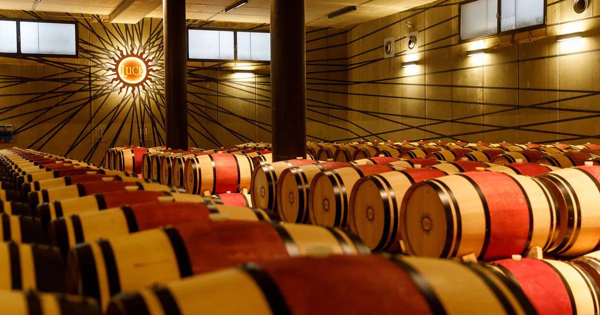 Uncorked: Tenuta Luce celebrates 30 years of excellence and innovation