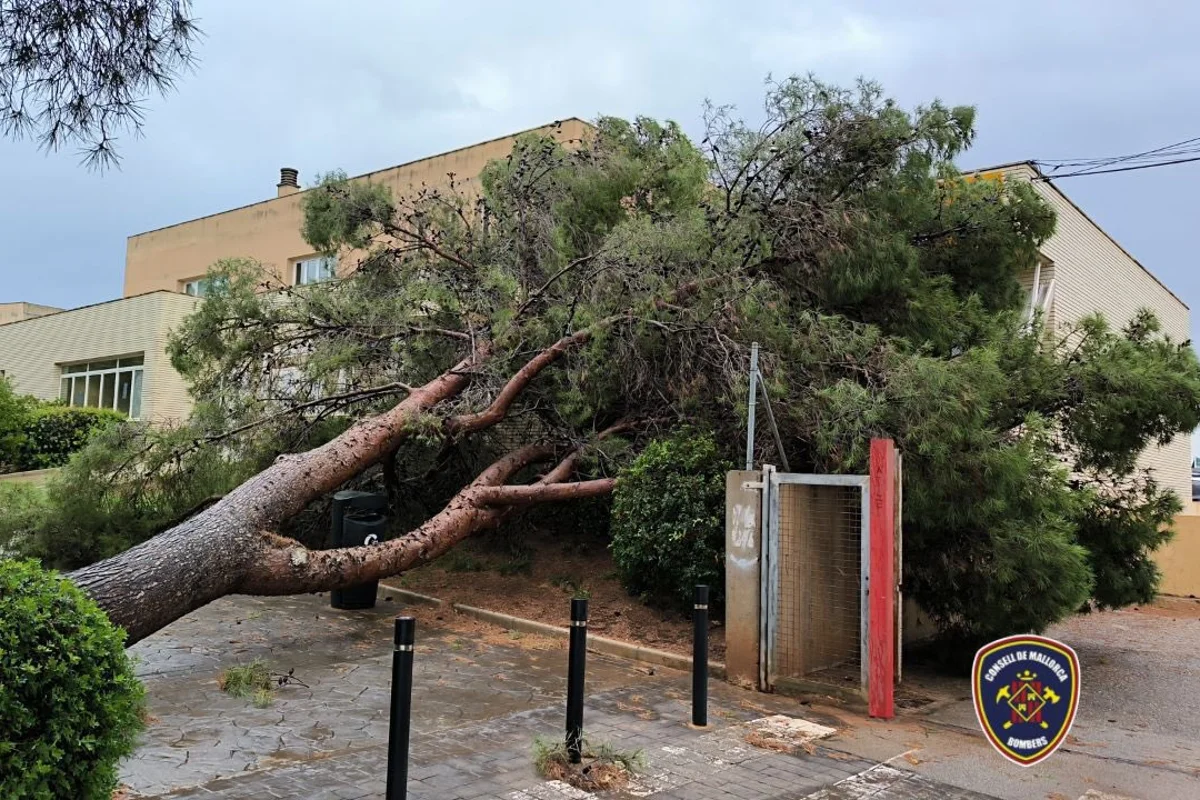 Travel chaos as flooding hits Spain and closes airports