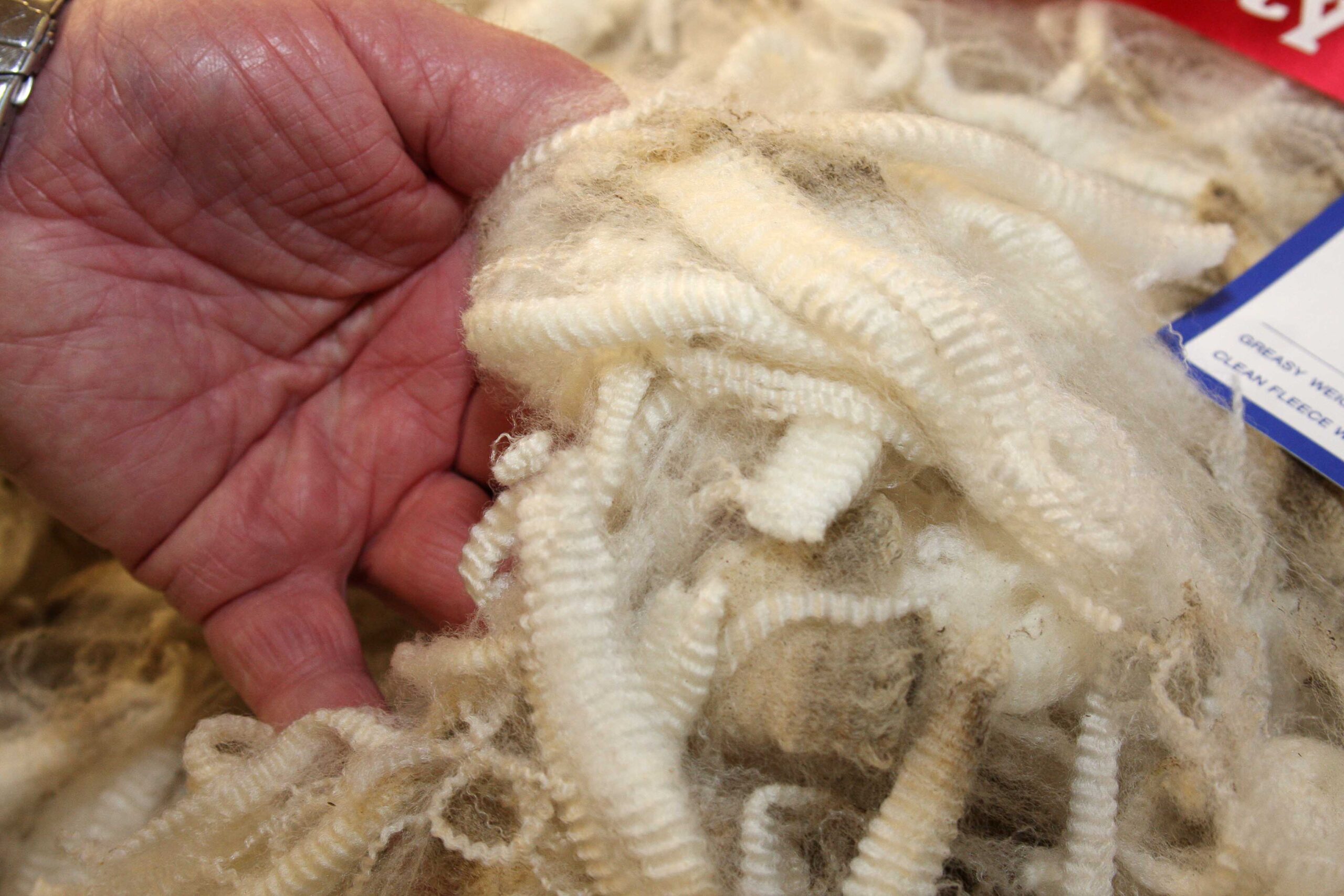 There’s new hope for wool