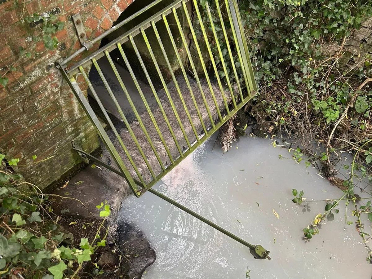 Homeowners could be polluting a North Wales waterway without even realising