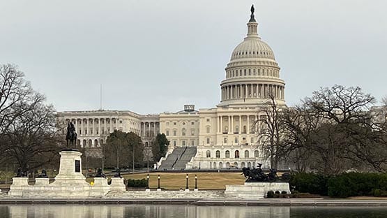 Seventh Democrat enters crowded field in Second District race