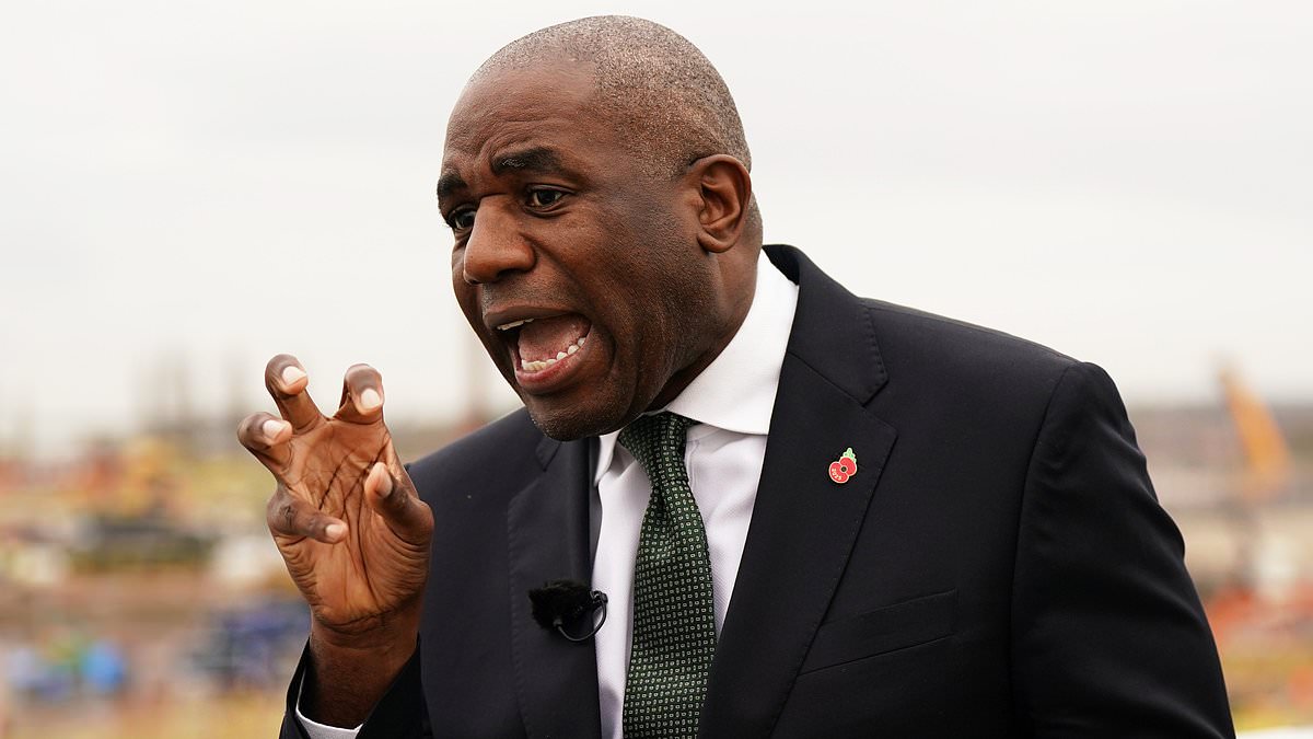 It's time to stop digging, David Lammy - Justice Secretary says he 'didn't have all the facts' when ducking MPs' questions about migrant sex offender freed by mistake