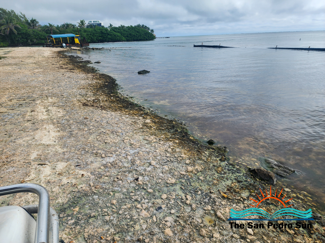 Perez Clarifies Dredging Work Underway for Boca del Rio Beach Enhancement