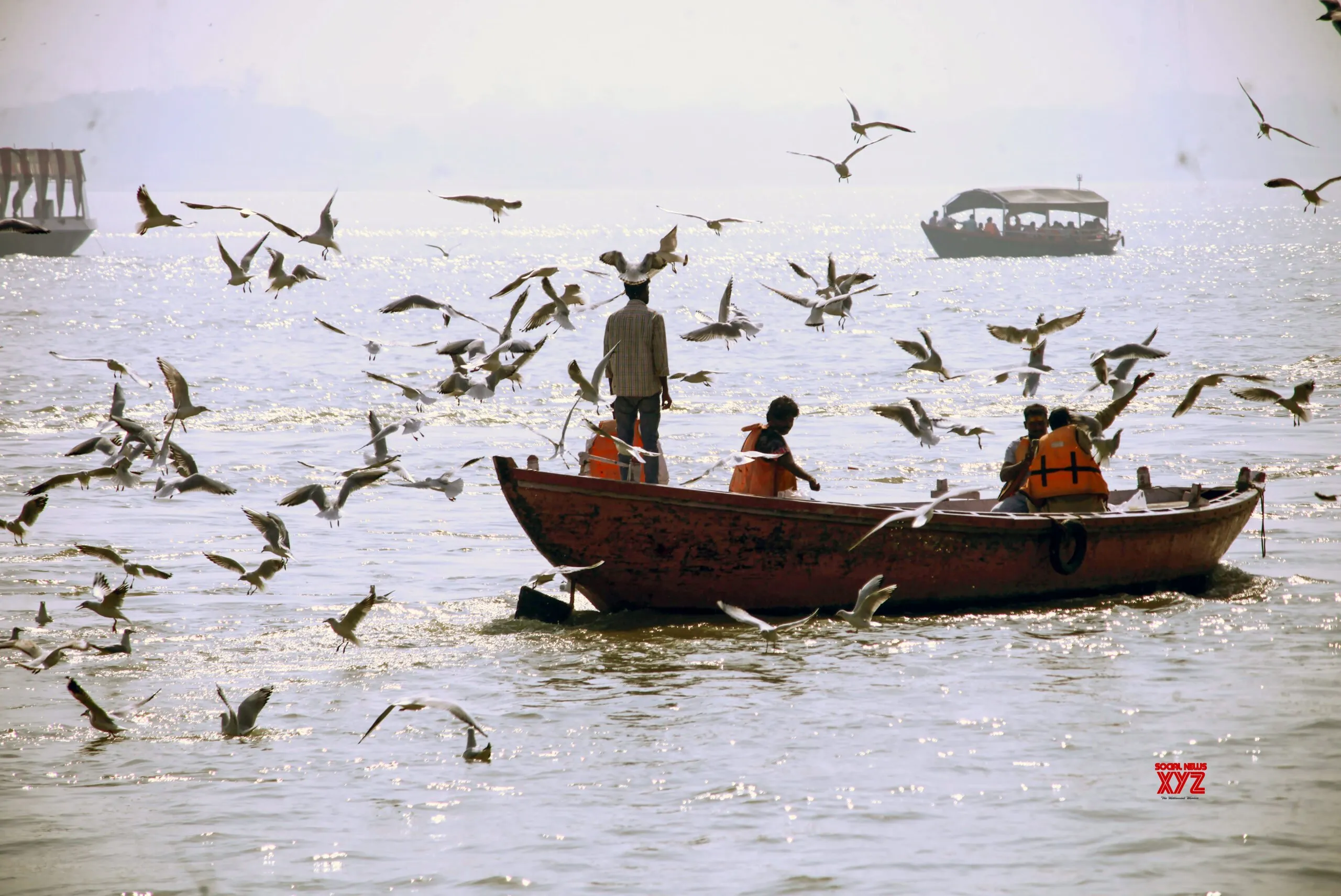 Varanasi: Migratory Seagulls Flock Over Ganga #Gallery