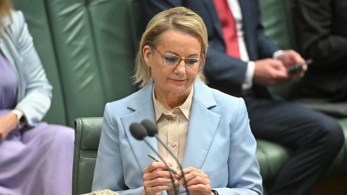 Sussan Ley slammed by formal Liberal leader amid party turmoil and climate policy standoff