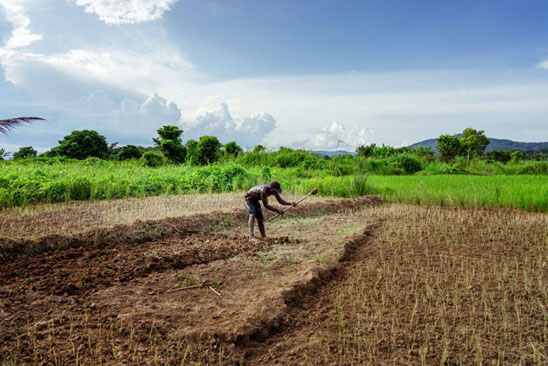 Indigenous Communities Are the Frontlines of Climate Action—It’s Time COP Listened