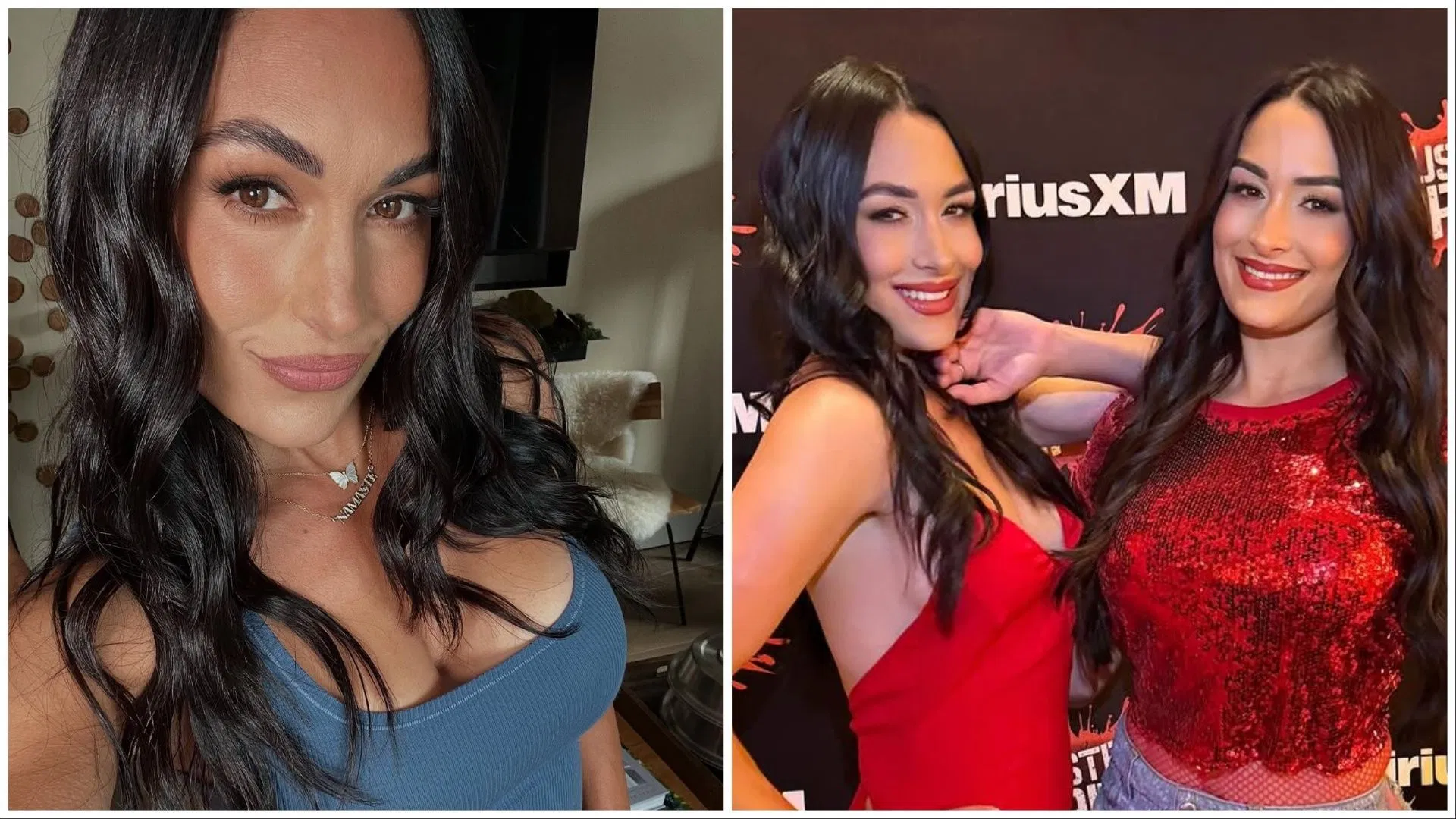 CONFIRMED: Brie Bella at recent show; WWE star waxes lyrical