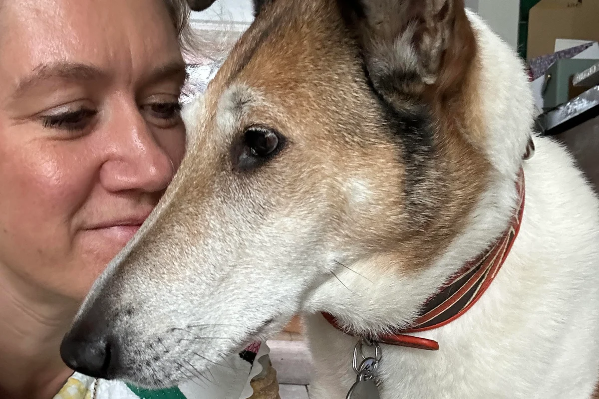 “I’m a dog expert – here’s why I’d never get my dead dog cloned like Tom Brady”