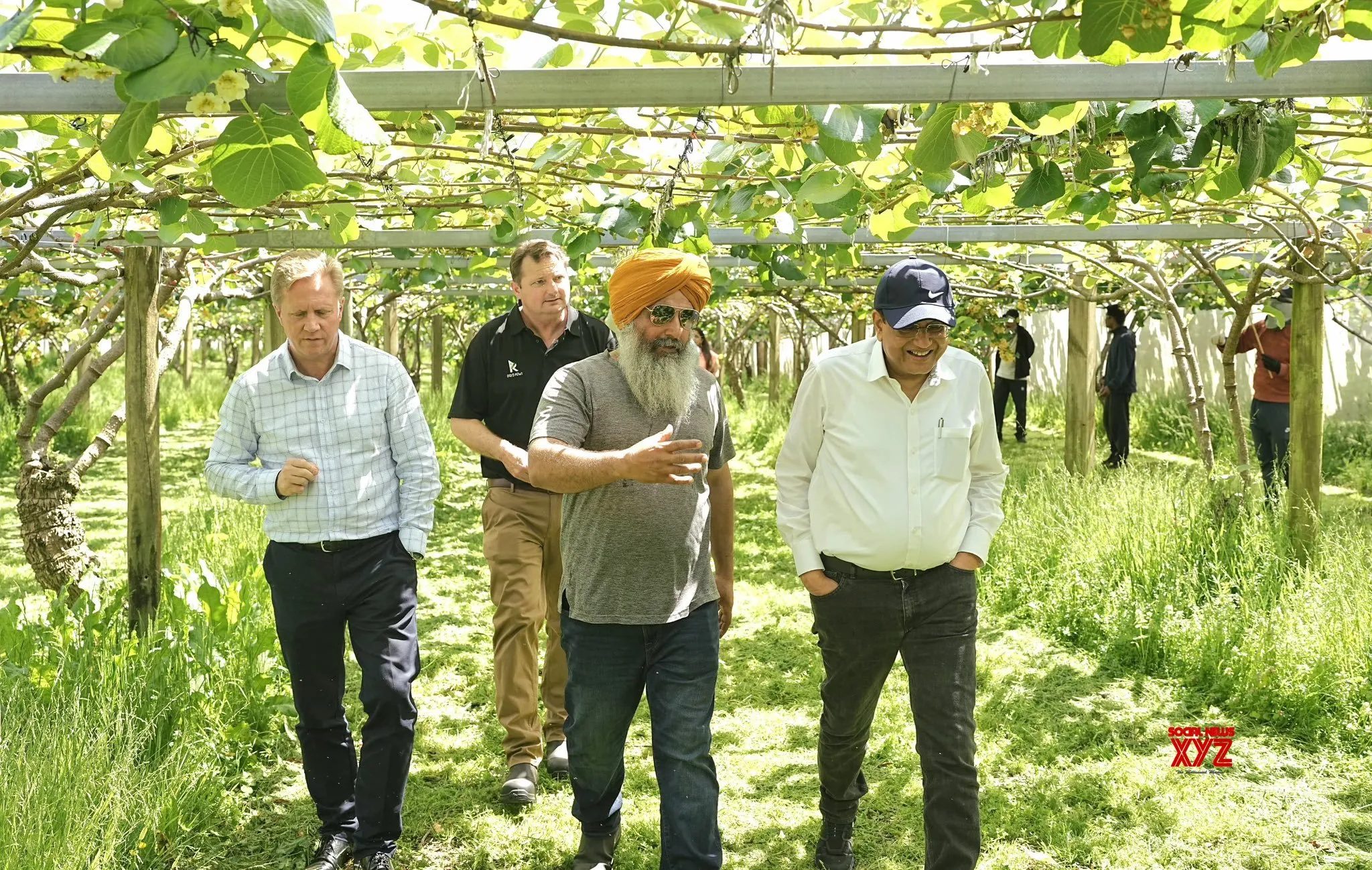Grateful to Kiwi-Indian farmers for very productive orchard visit: Piyush Goyal