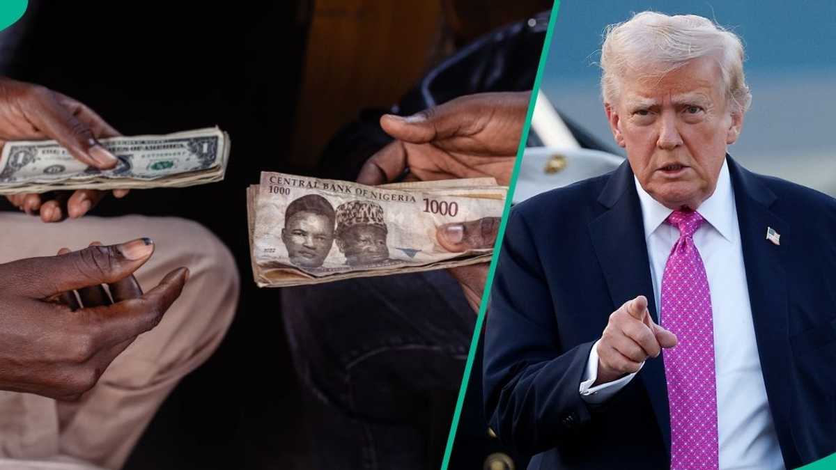 Find out new exchange rate as Naira reacts to Trump's threats, crashes against US Dollar