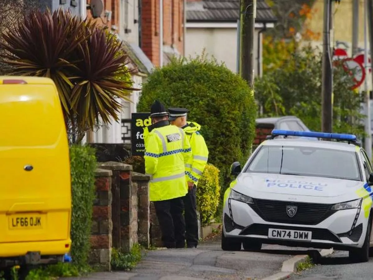 Two arrested after baby is killed in XL bully attack