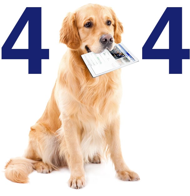 Uber Stock Falls Despite Q3 Earnings Beat, Strong Demand For Rides