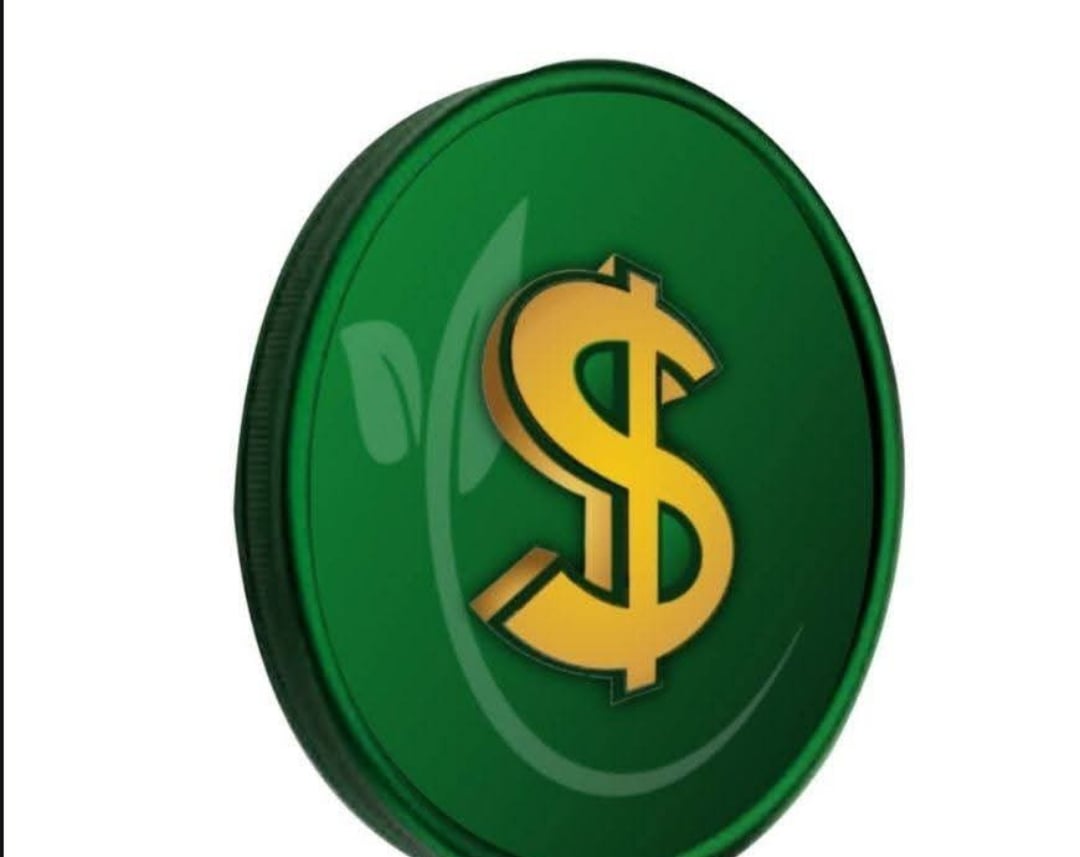 Green Dollar Coin Pledges to Empower African SMEs Through Sustainable Digital Finance