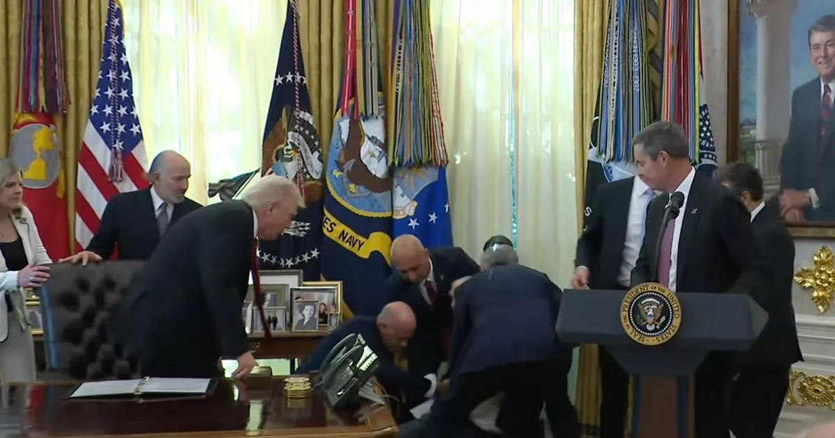 Trump watches in horror as top executive collapses at White House press conference
