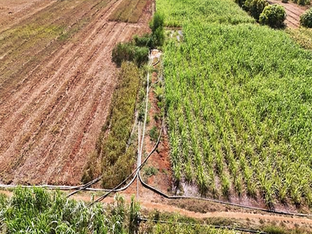 Gujarat’s Lift Pipeline tech boosts irrigation across 1.39 lakh acres in tribal belt