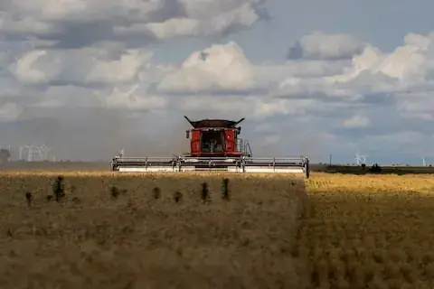 China begins limited purchases of US farm goods