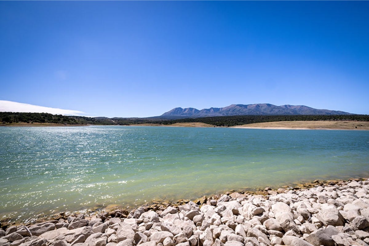Utah Wildlife Officials Warn Against Illegal Fish Introduction After Smallmouth Bass Found in Lloyds Lake