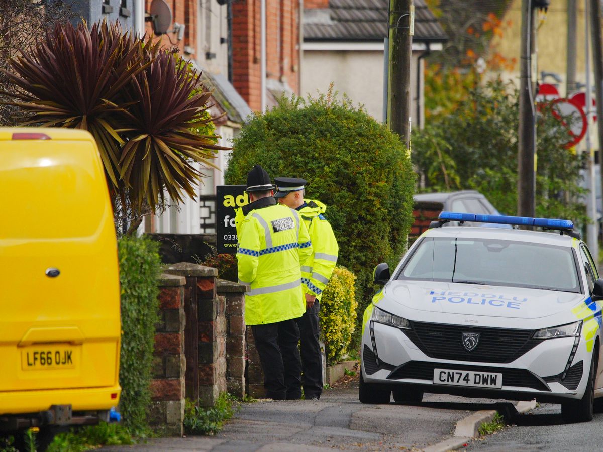 Police make two arrests after nine-month-old baby dies in XL bully attack