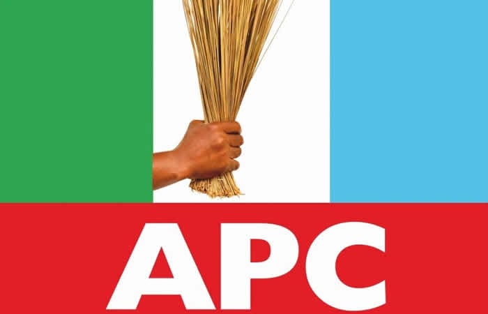 Akure summit: South-West APC calls for action to translate dialogue into development