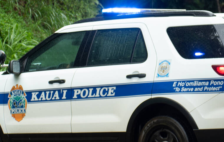 Kauai police seek help in identifying remains found in April