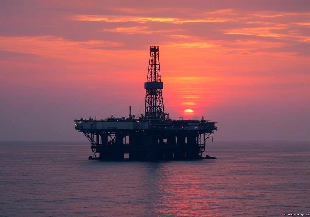 South America to anchor non-OPEC+ oil growth through 2030 - Rystad Energy