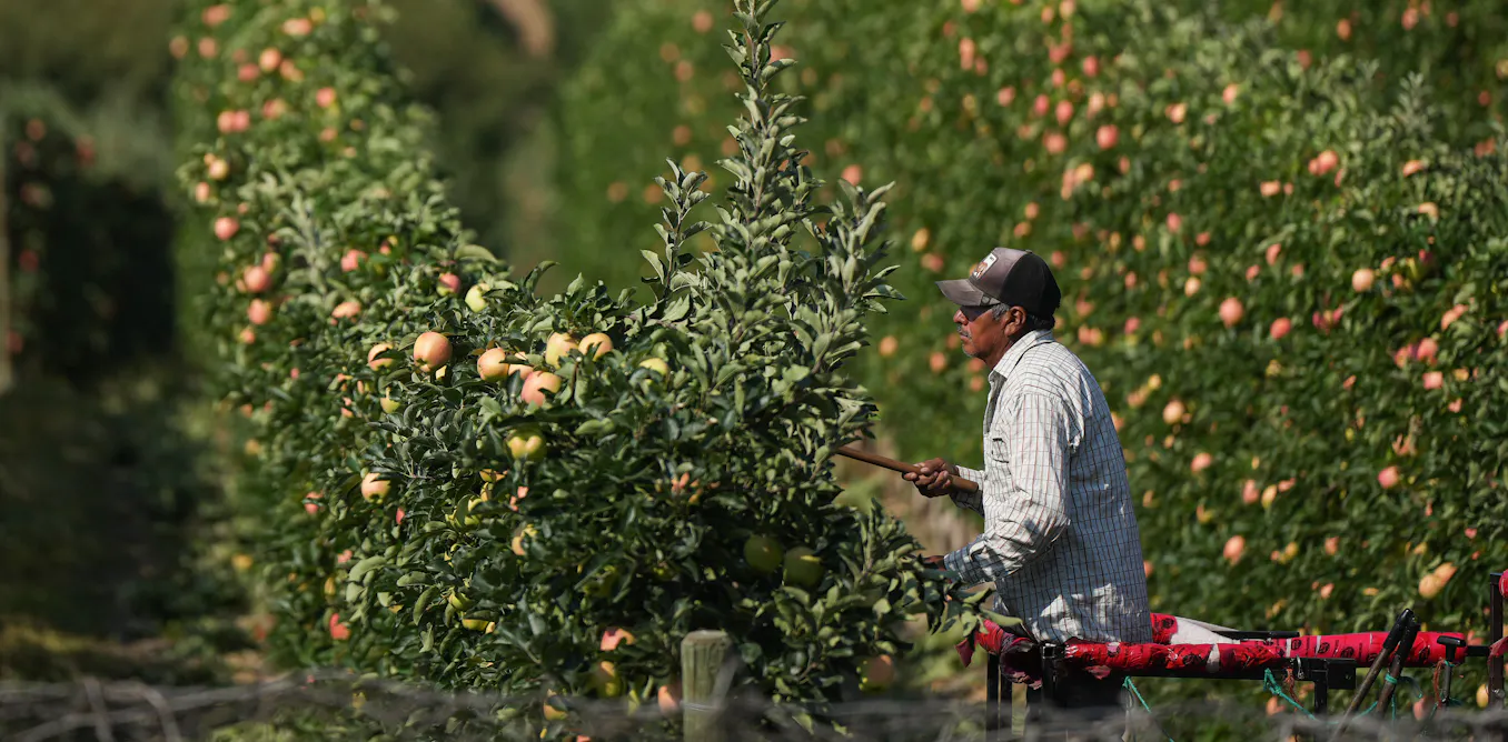 Canada’s food sovereignty depends on better jobs for farmworkers
