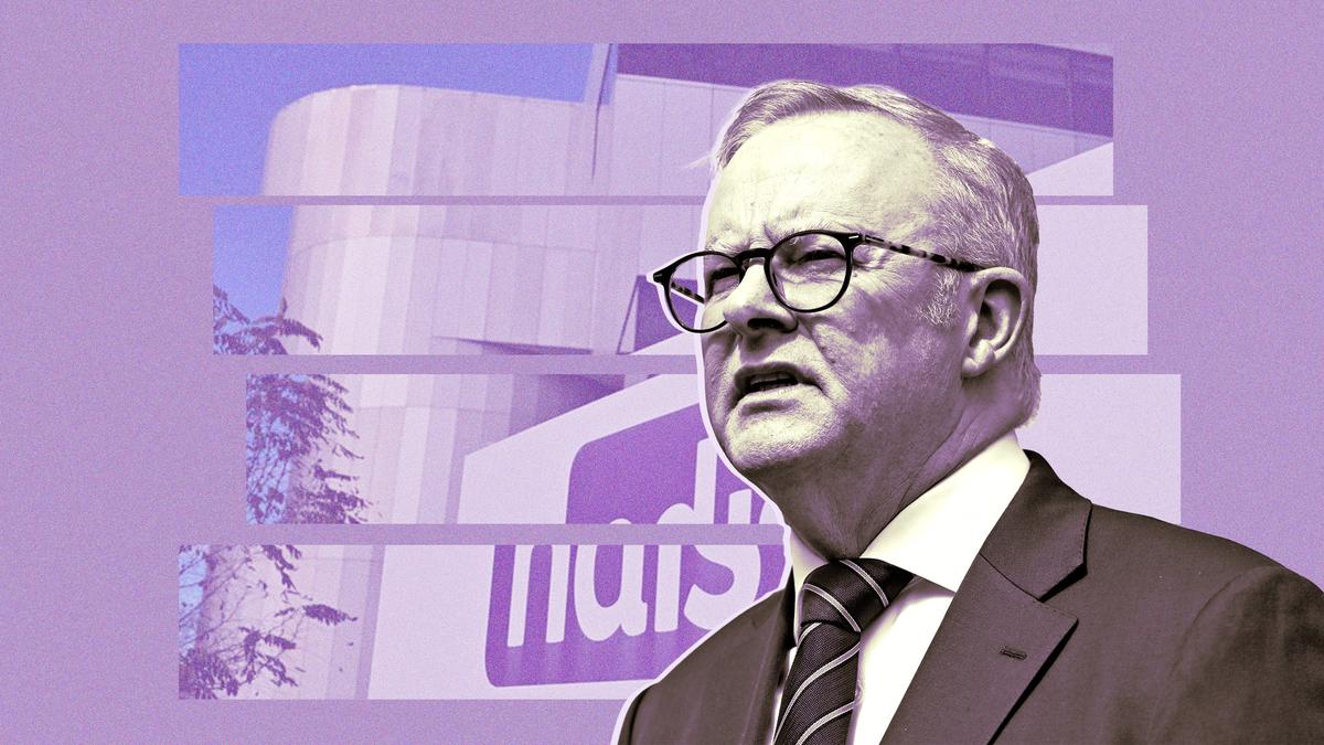 Child specialist services warn sustainable funding approach needed for Labor’s ‘Thriving Kids’ to succeed