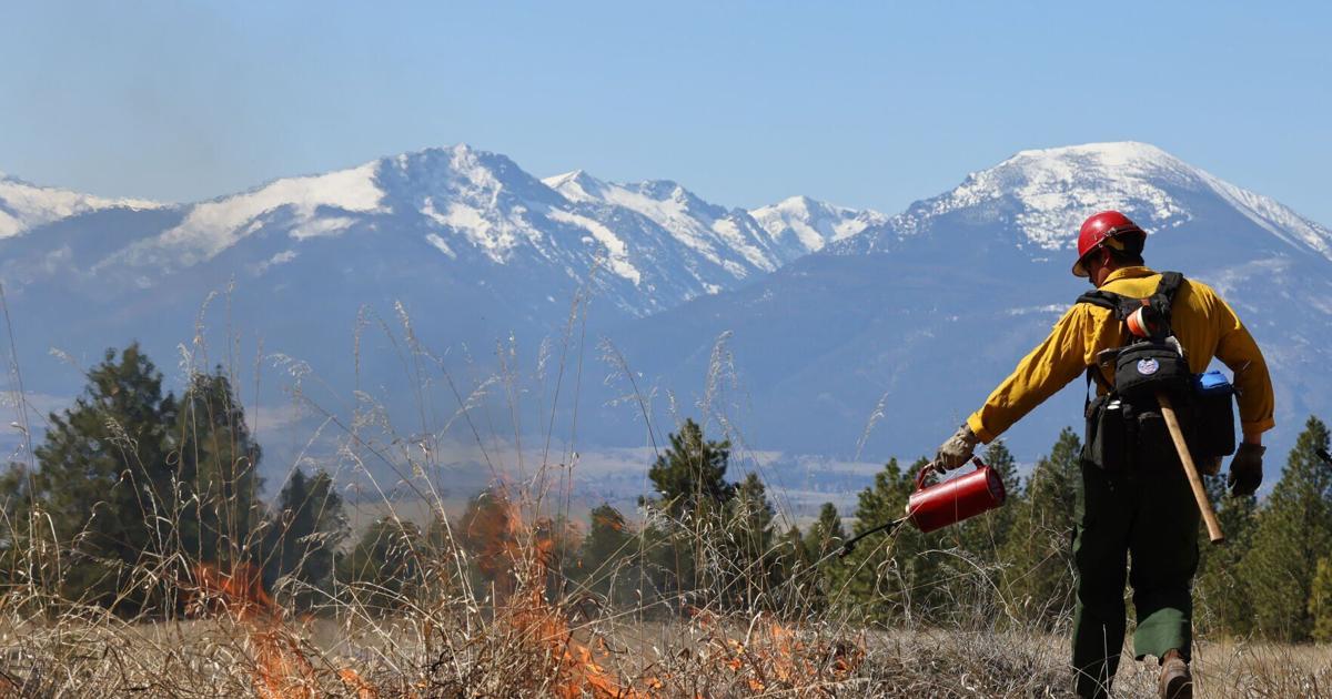 Prescribed burning down in 2025 in Montana, group says