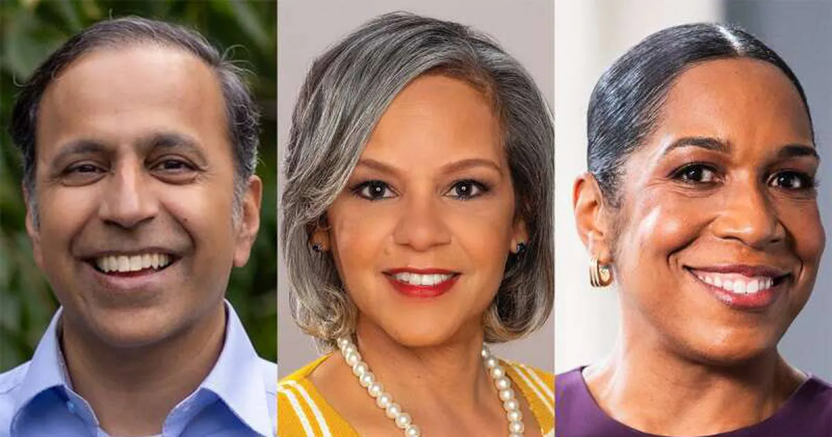 22 - yes, 22 - candidates running for Durbin’s Senate seat