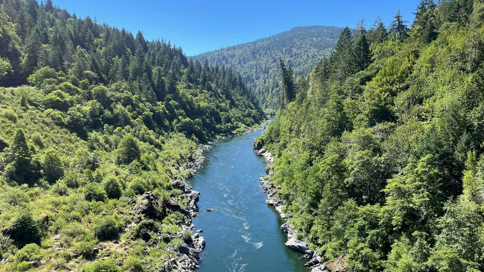 One Year After The Klamath Dam Project, Scientists Are Thrilled By Nature's Comeback