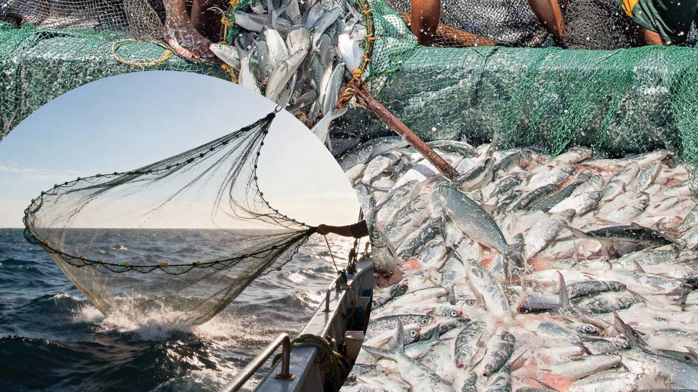 Govt Notifies New Rules for Sustainable Deep-Sea Fishing In India’s Exclusive Economic Zone
