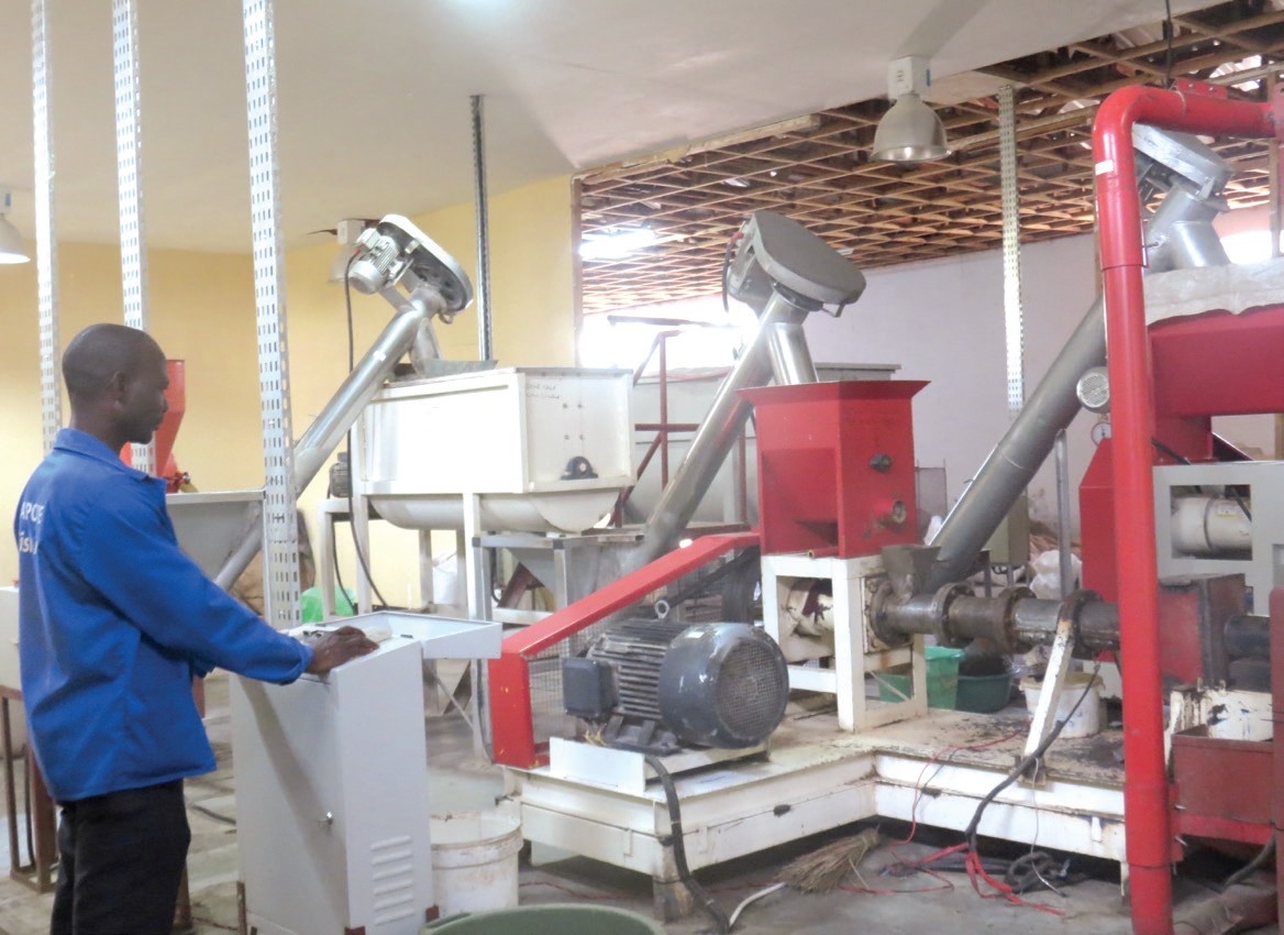 Local firms dared on accountability