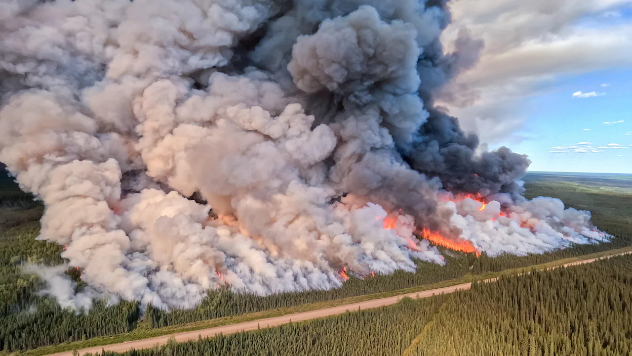 B.C. government fined $759K by workplace safety agency after death of wildfire fighter